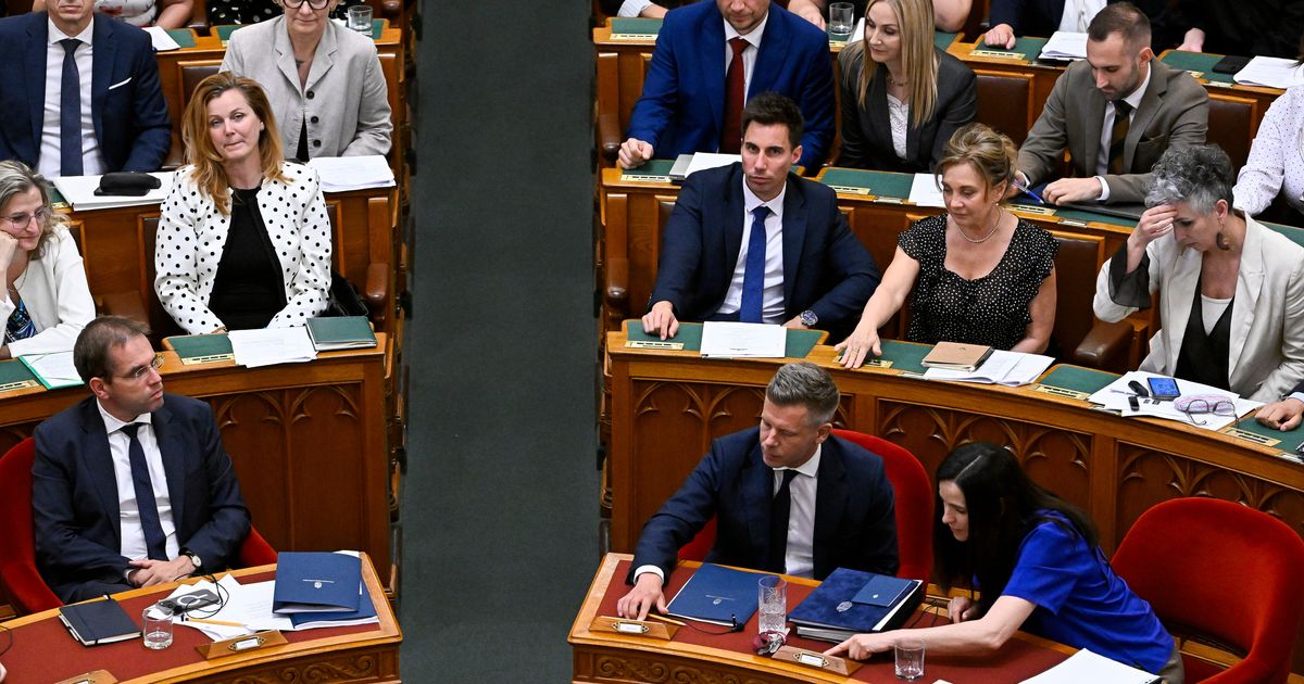 Hungary’s Parliament Removes Orban Loyalist From Presidential Post - image 2
