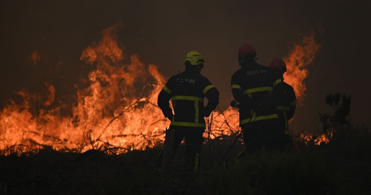 More than 250,000 flee wildfires in France and Spain - image 7