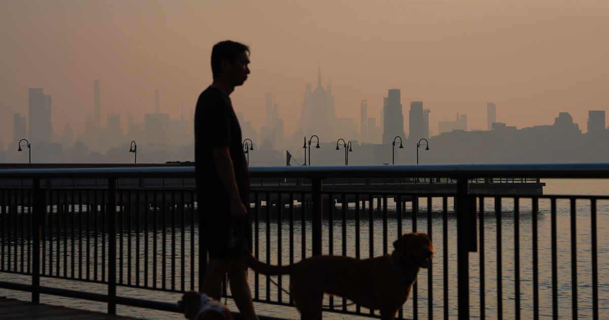 Wildfire smoke kills tens of thousands of people a year. Here's how it attacks the body