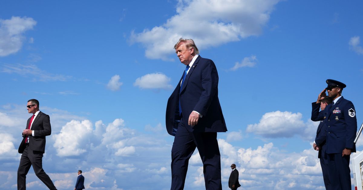 Zelensky seeks Trump's help to persuade Musk to broaden Starlink access - image 1