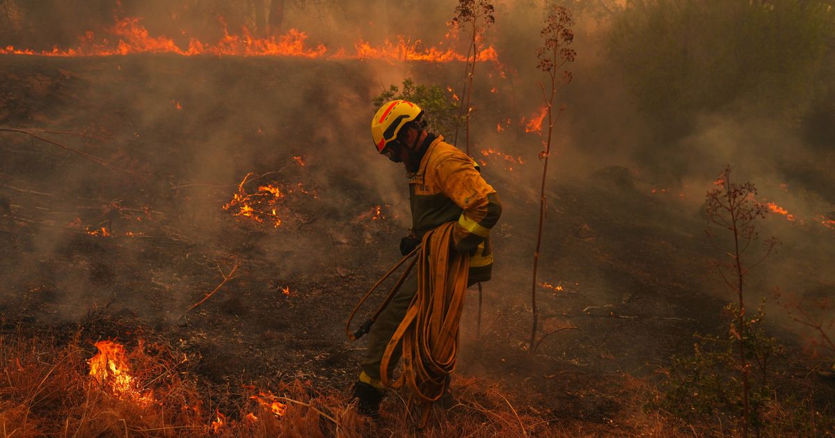 Earth’s Warming Primed France and Spain to Burn, Scientists Find - image 2