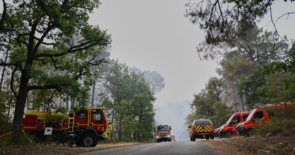 Watch: Horses evacuated as fire approaches riding centre near Paris - image 2