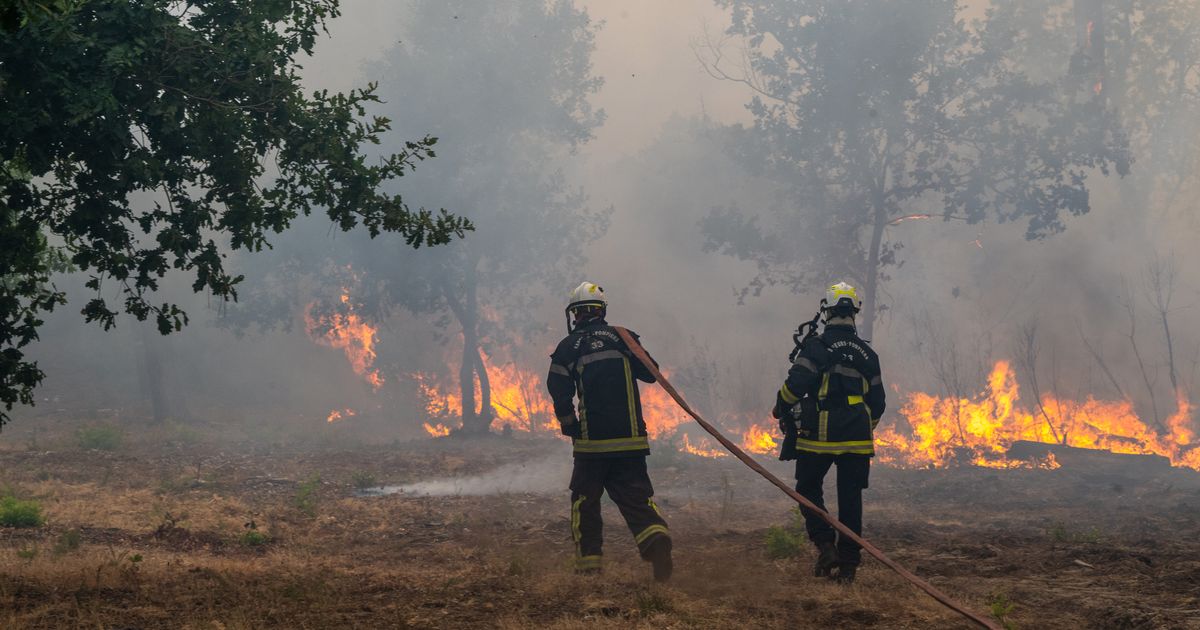 Fires Rage in Spain and France, Forcing Thousands to Flee - image 1
