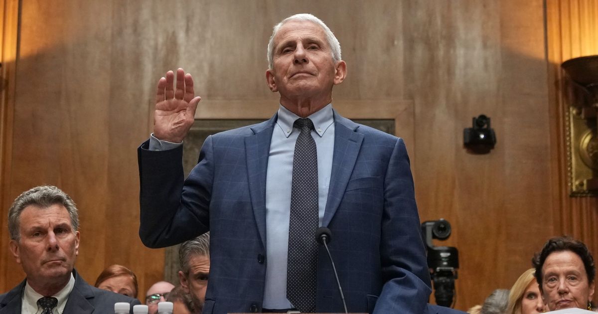 Fauci had every right to take the Fifth - image 3