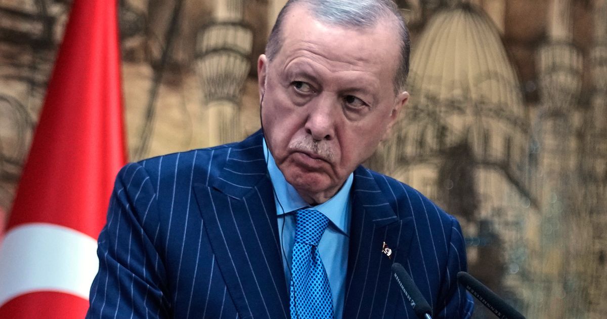 Turkish comedian sent to jail to await trial on charges of insulting Erdogan