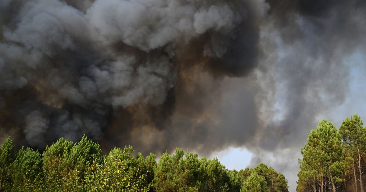 European Wildfires Amplified by Emptying Countryside and Fewer Farms - image 10