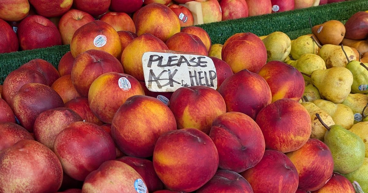Perfect peaches yield summertime euphoria. Pick the best