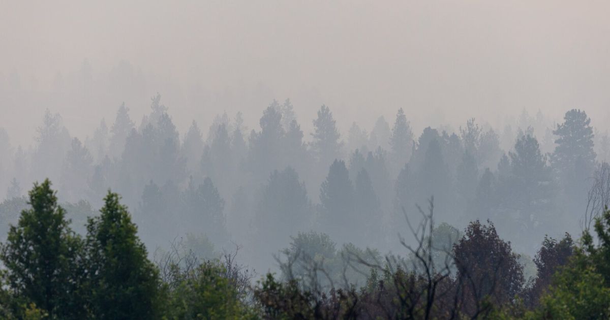 WA statewide burn ban and wildfire emergency declared; fire risk ‘extreme’