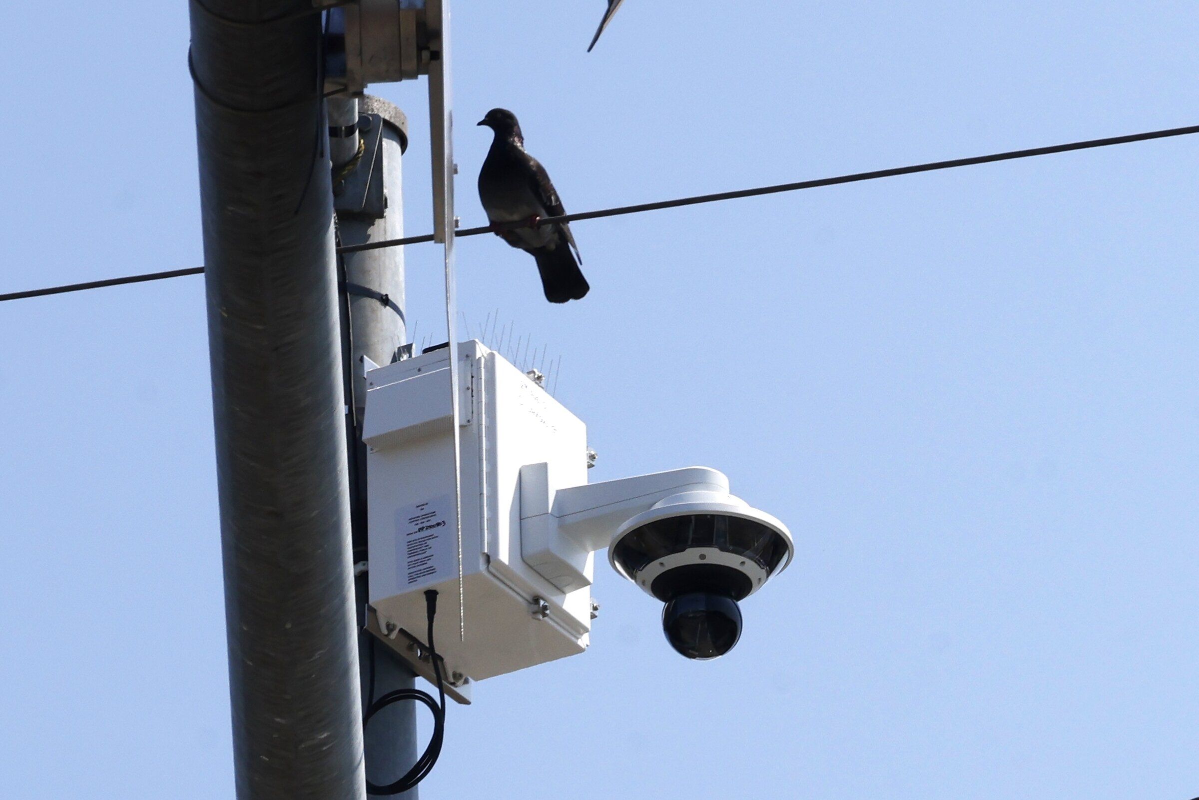 The city has about 60 police cameras on Aurora Avenue, downtown and in the Chinatown International District. (Karen Ducey / The Seattle Times)