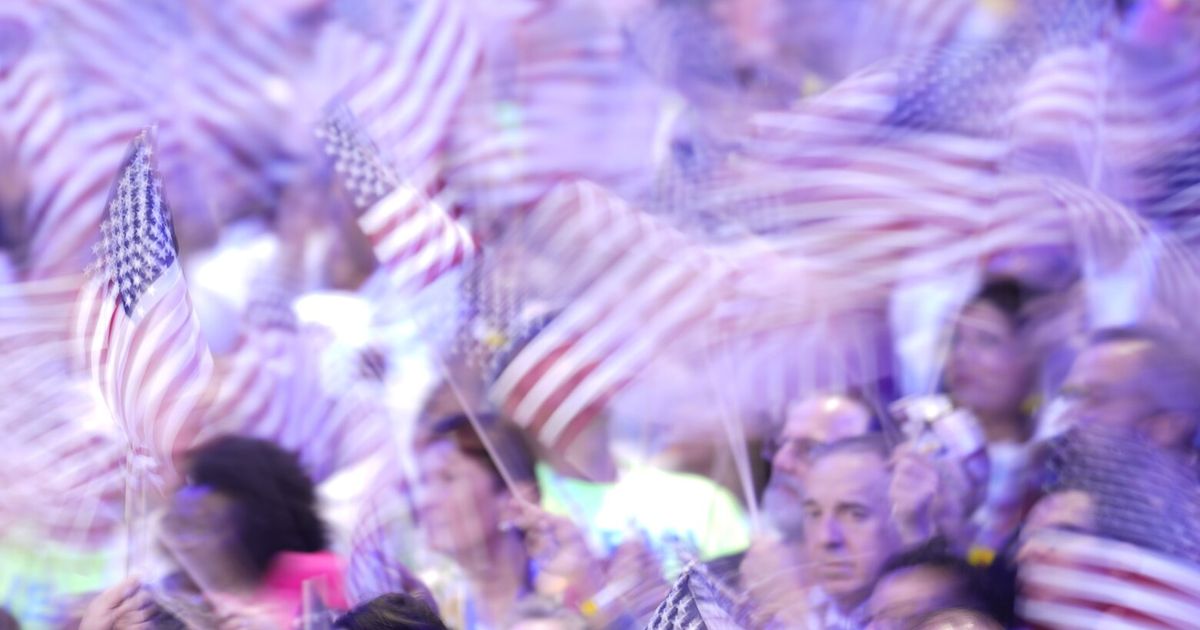 Author of Democrats’ 2024 autopsy says party left out key chapter