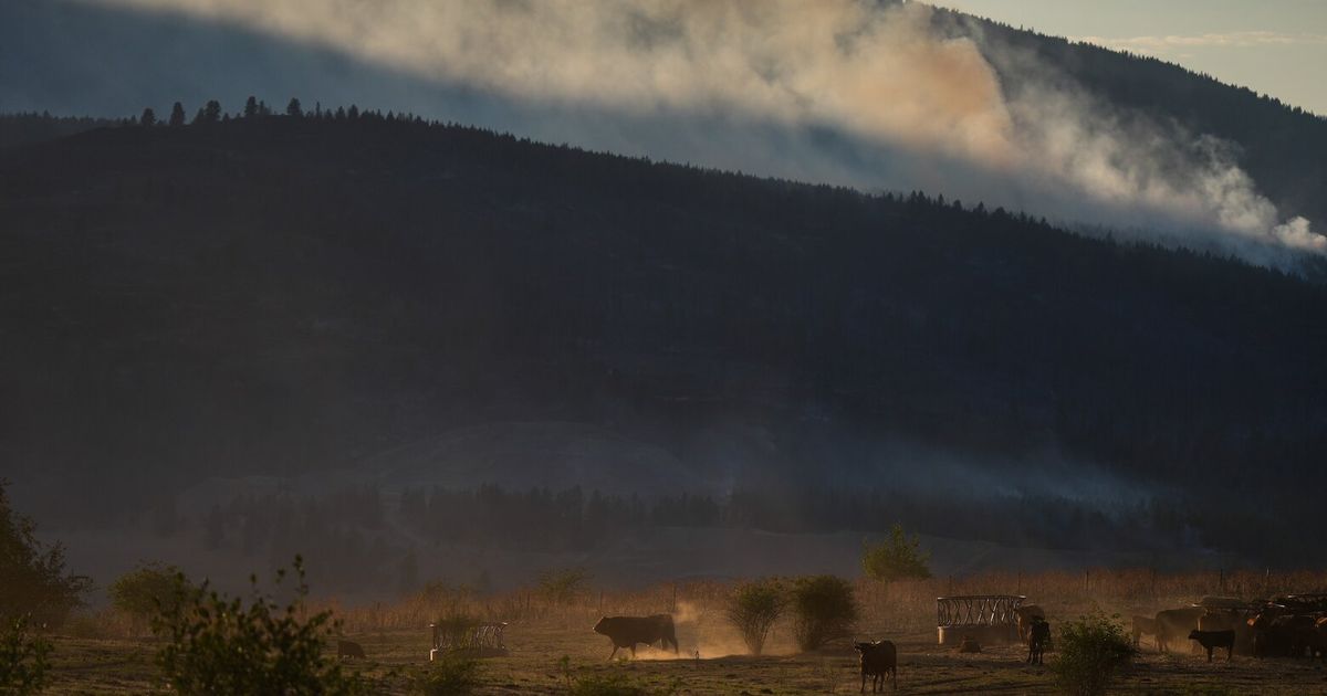 Wildfire destroys about 230 homes in western Canadian Indigenous community, officials say