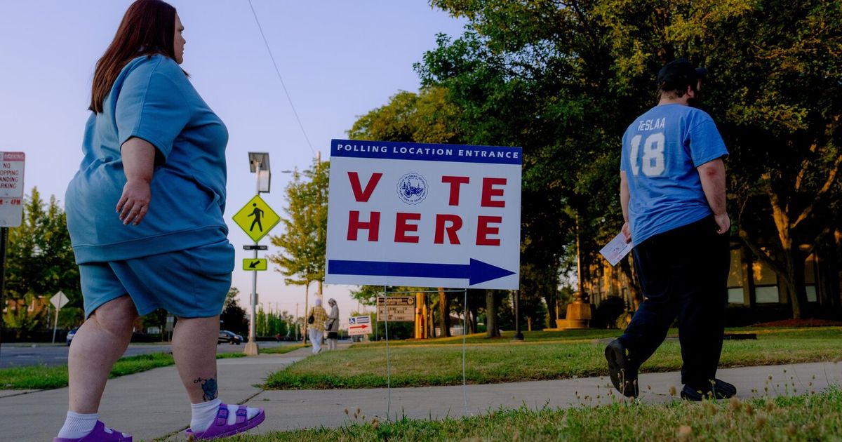 Michigan’s Democratic Senate Primary Poses a Test for a Divided Party - image 8
