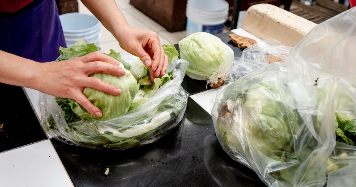 Beyond cyclospora: How to respond to any foodborne illness outbreak