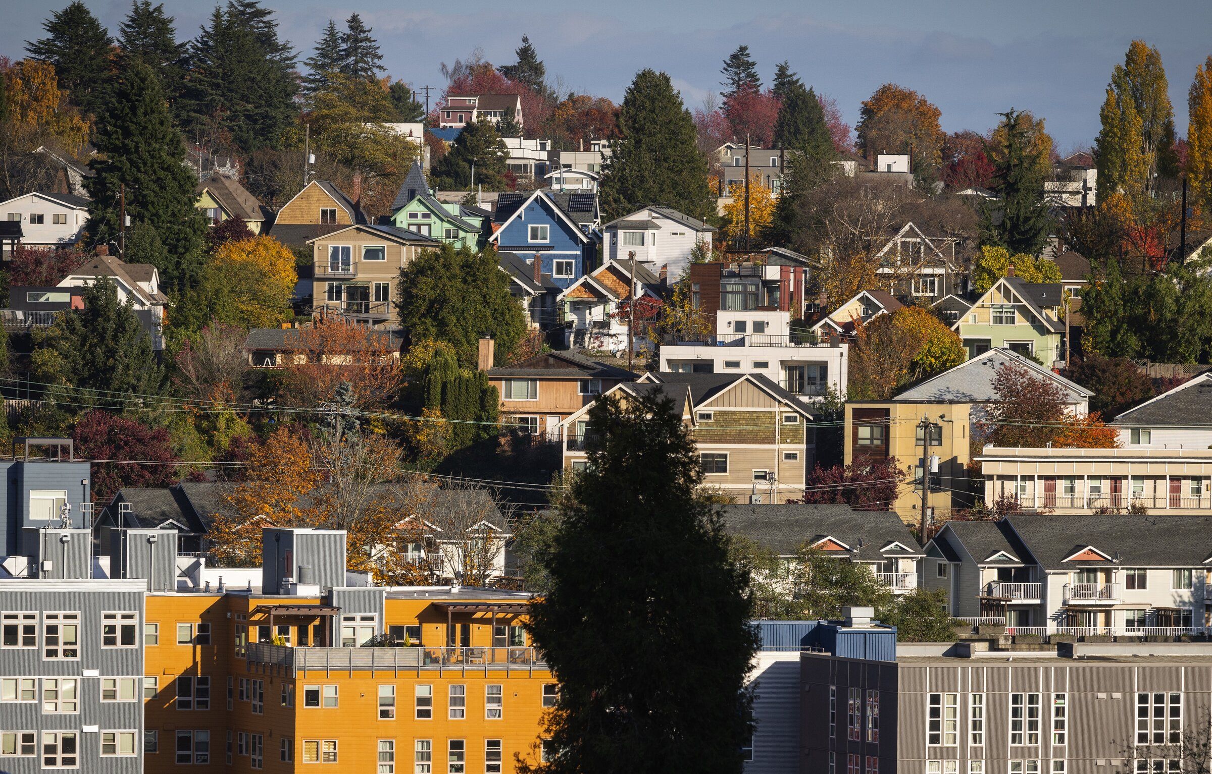 A mix of apartments and single family homes are seen in the Central District, Nov. 2023 in Seattle. (Ken Lambert / The Seattle Times)