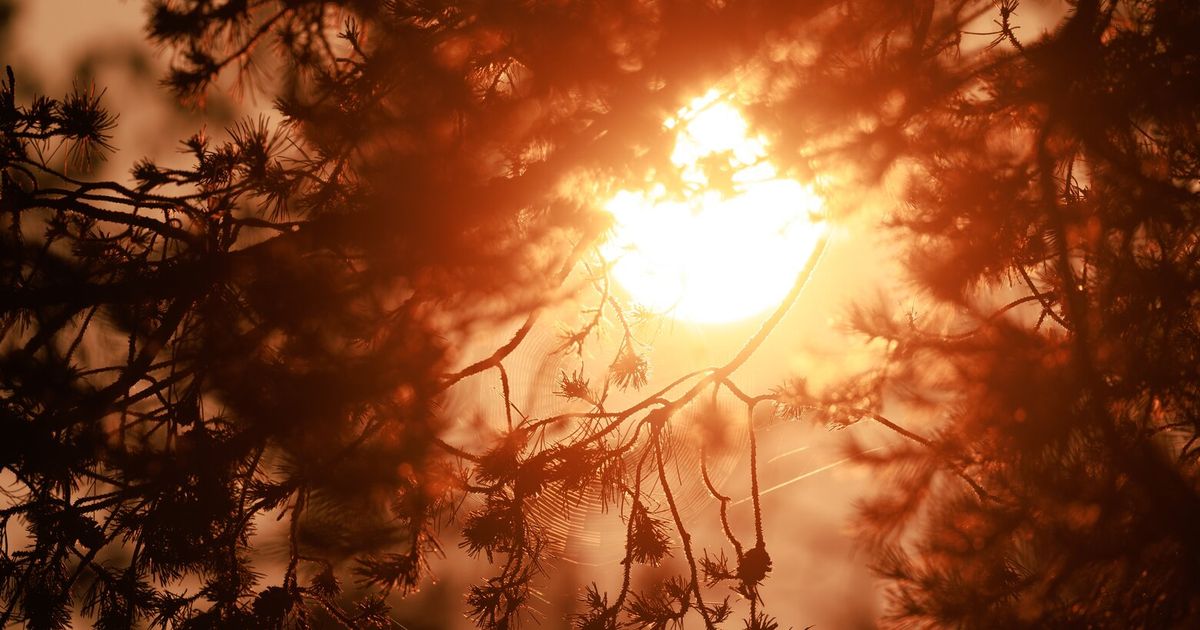 Air quality in Seattle stays deteriorated, incoming heat advisory