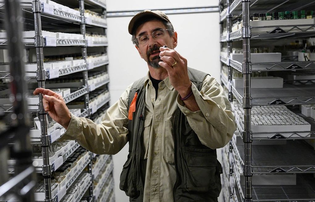 University of Alaska entomologist aims to collect every insect in the state