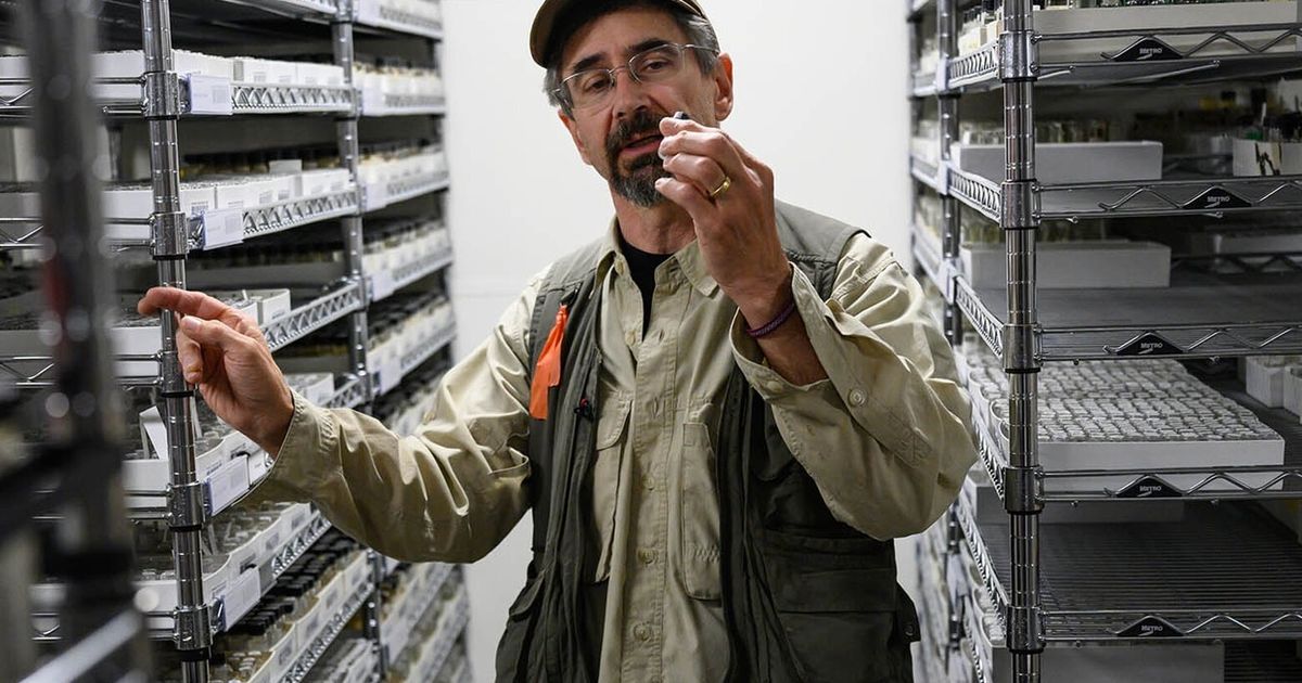 University of Alaska entomologist aims to collect every insect in the state