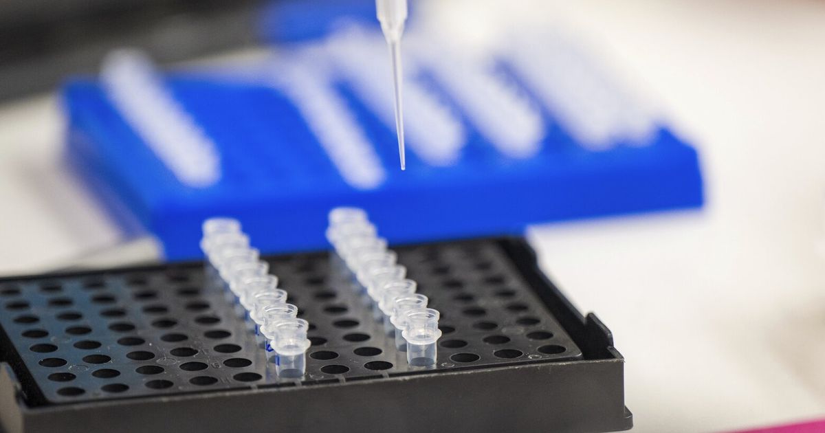 This AI just created viruses not found in nature