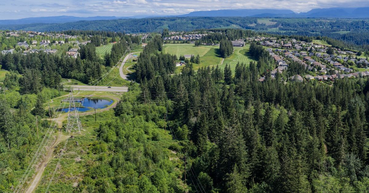 Battery storage facilities in WA take page out of fossil fuel playbook