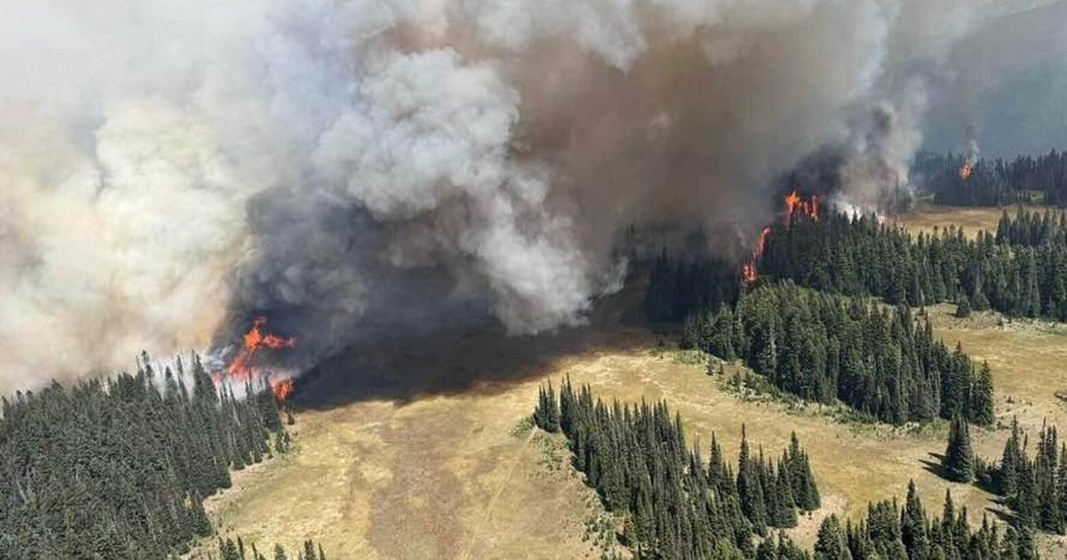 Wildfire closes Sunrise area of Mount Rainier National Park