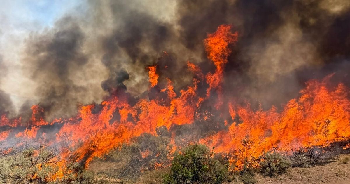 A helicopter battling a Utah wildfire crashes as a blaze kills dozer operator in Oregon
