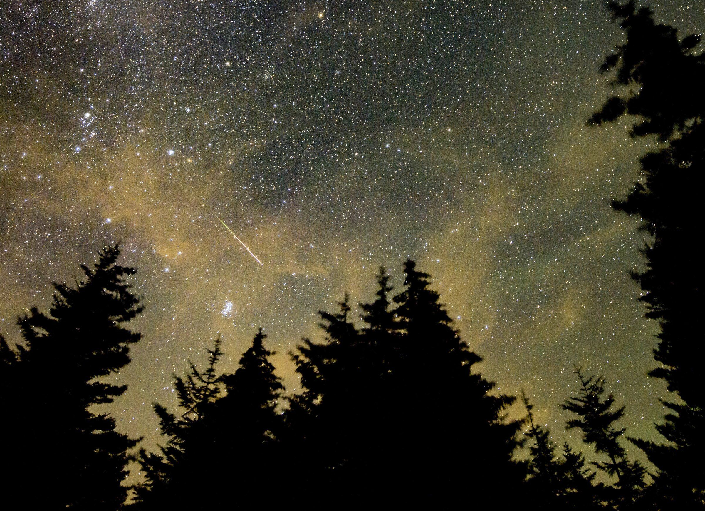In this 30-second camera exposure, a meteor streaks across the sky during the annual Perseids meteor shower, Aug. 11, 2021, in Spruce Knob, W.Va. (Bill Ingalls / NASA via The Associated Press)