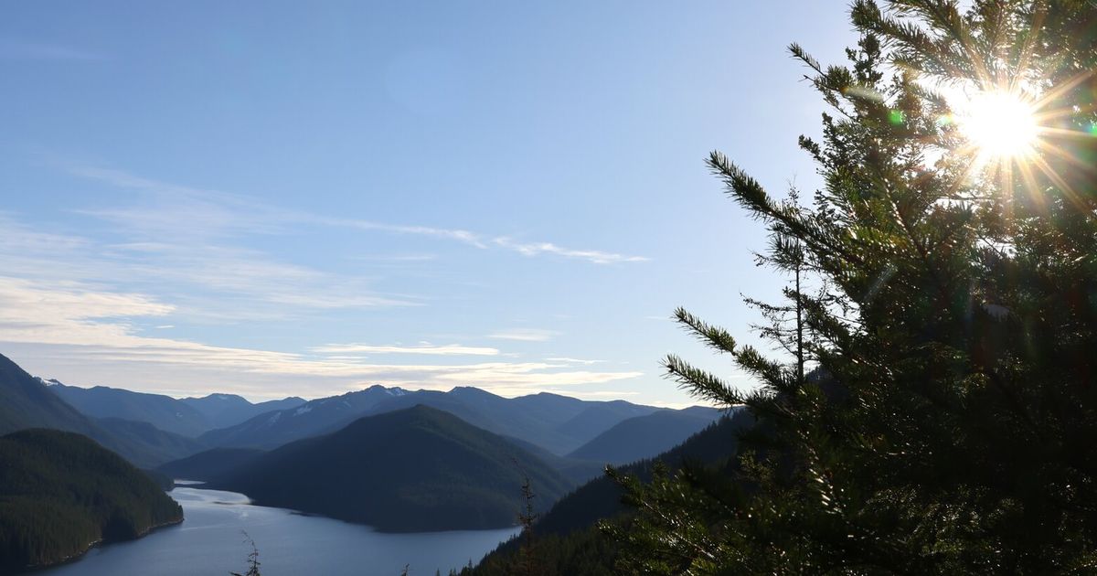 Preserving the roadless rule in WA forests protects our water, too