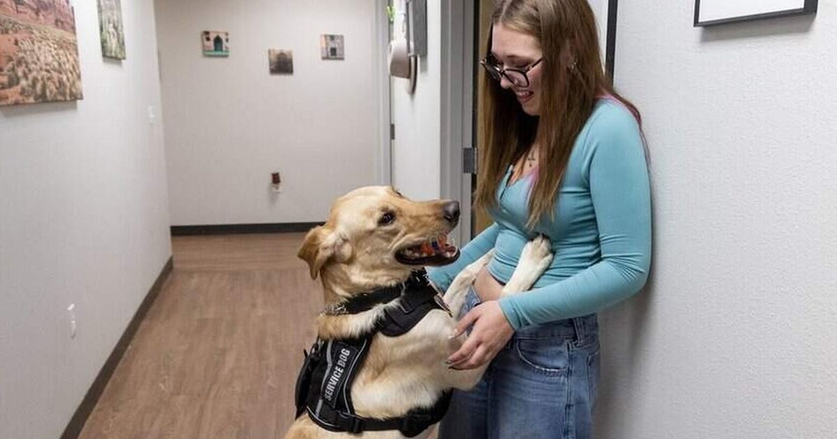 They trained him for diabetes alerts. Then, this Idaho dog sniffed something worse