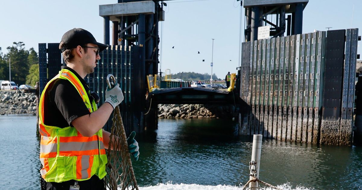 Did you pursue the trades? Tell us why