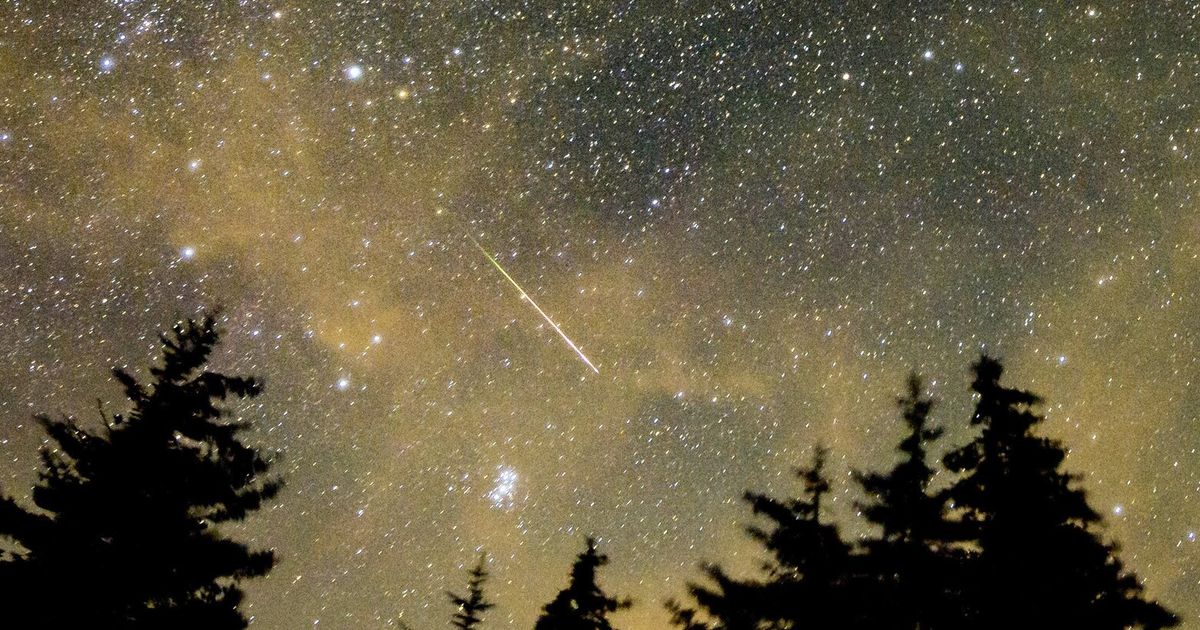 Here’s how to watch the best meteor shower of the year in Western WA