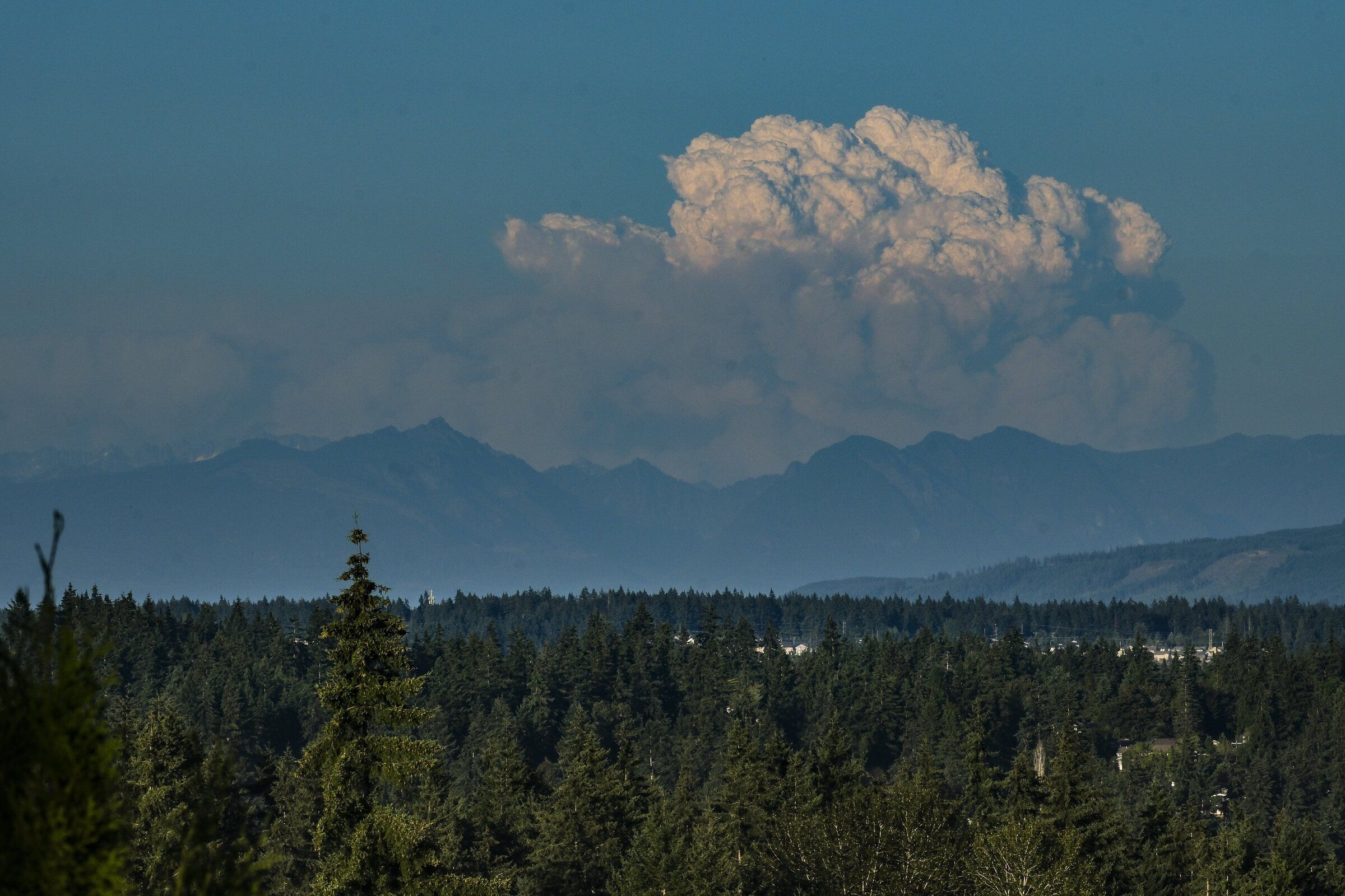 A plume from the Little Giant fire burning in Central Washington seen on July 24 in this view from Lake Forest Park in King County. (Dean Rutz / The Seattle Times)