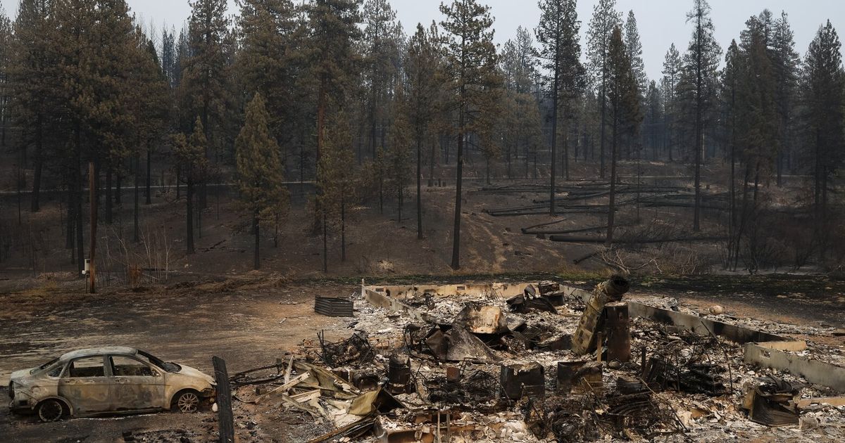 Devastating start to PNW fire season offers a warning