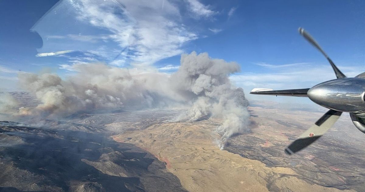 Woman Arrested After Confessing to Starting Nevada Fire, Officials Say