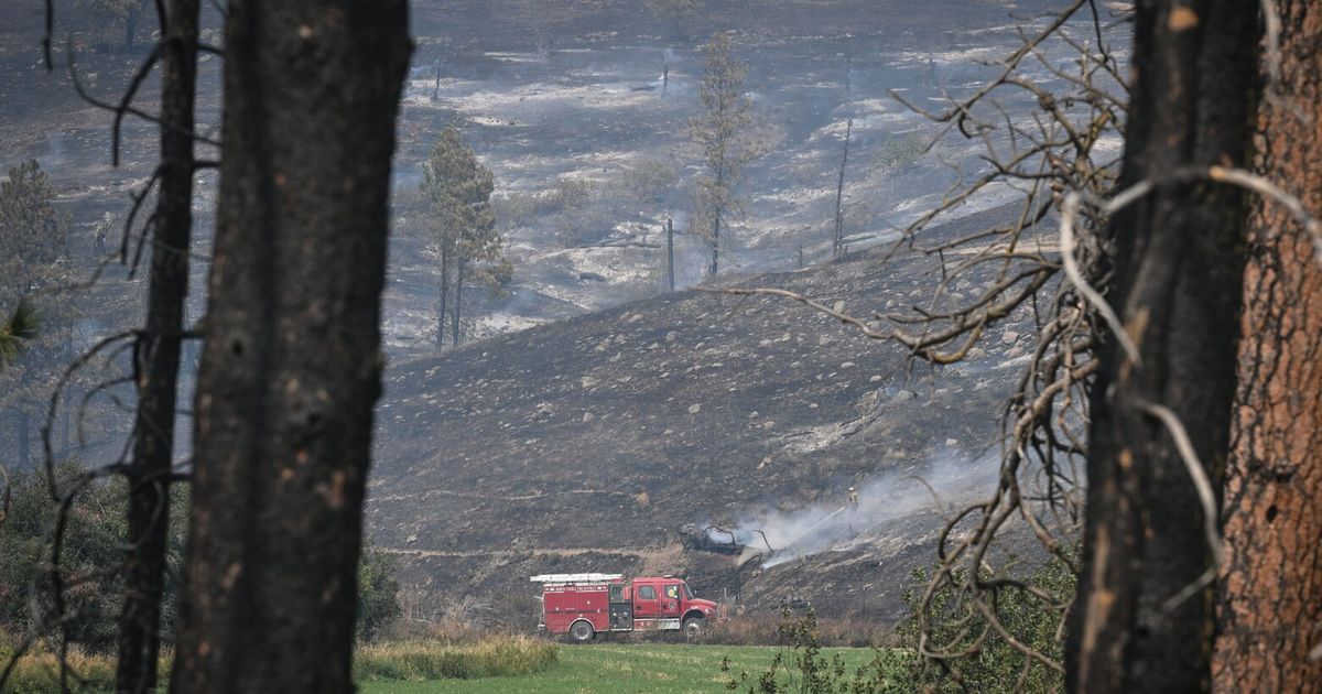 Wildfires, water loss and the strain on local energy grids | Opinion