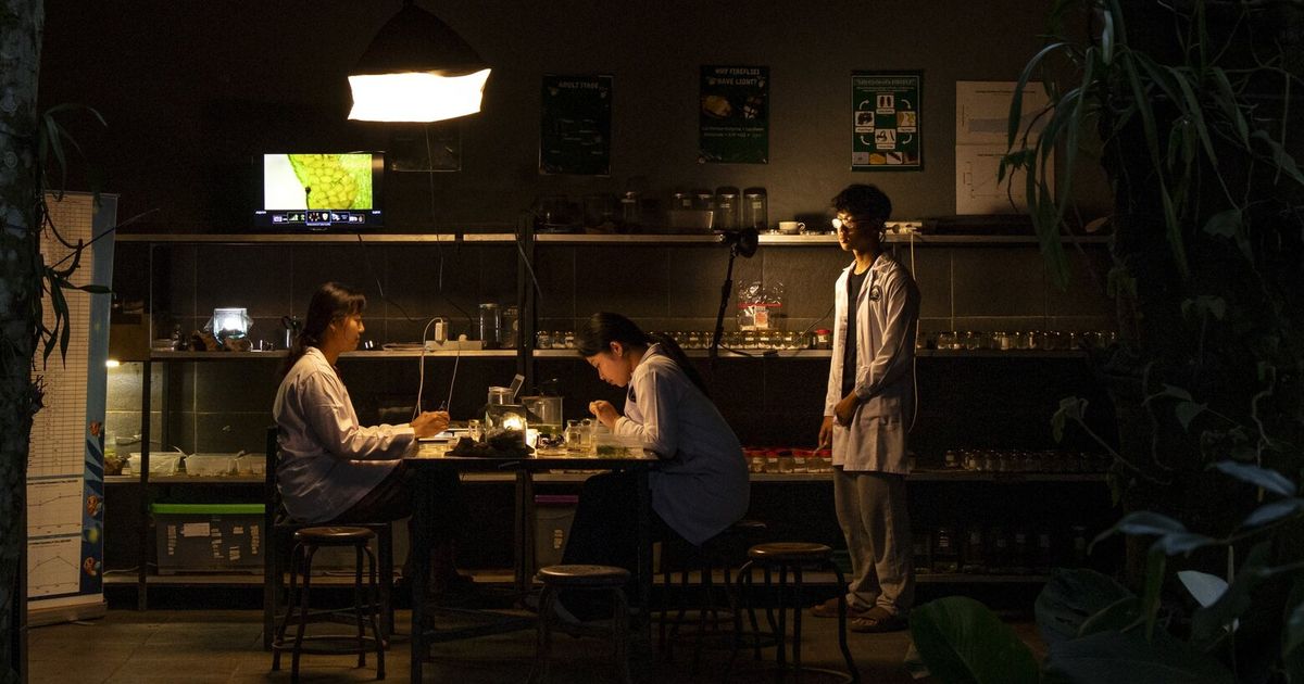 A quest to restore the sacred glow of fireflies in Bali