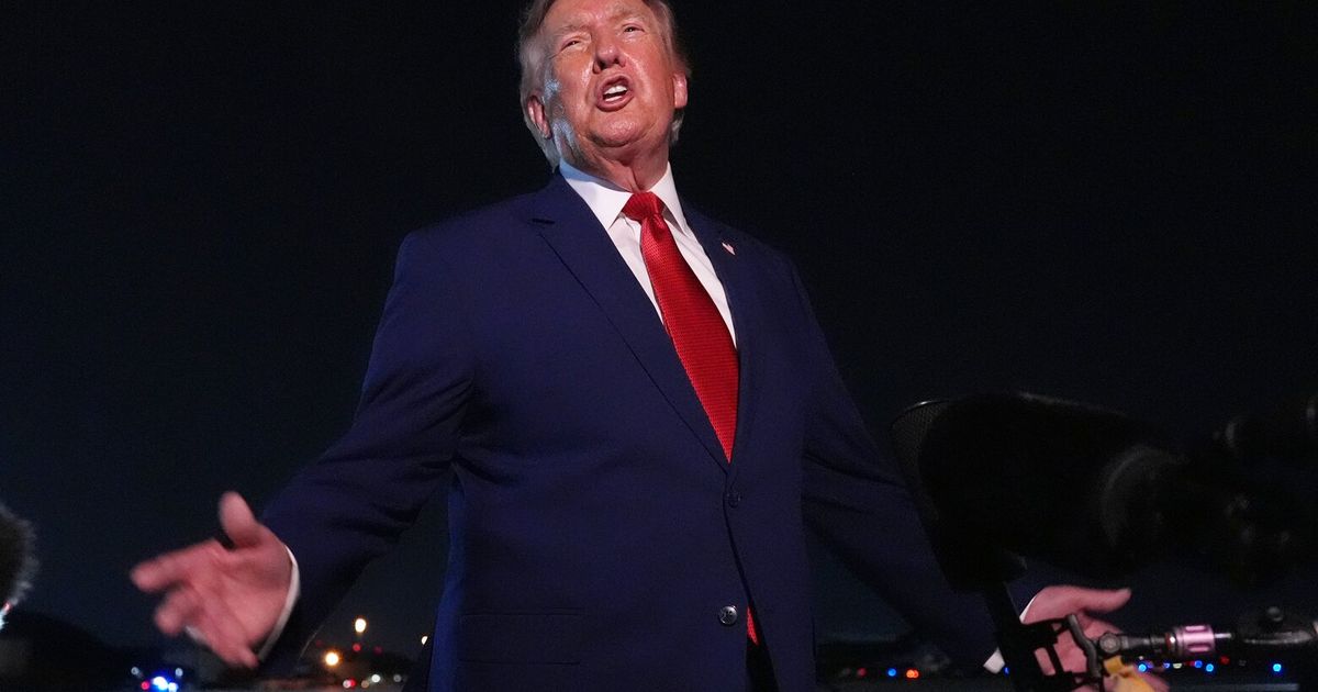 How Democrats plan to rein in Trump if they win in November