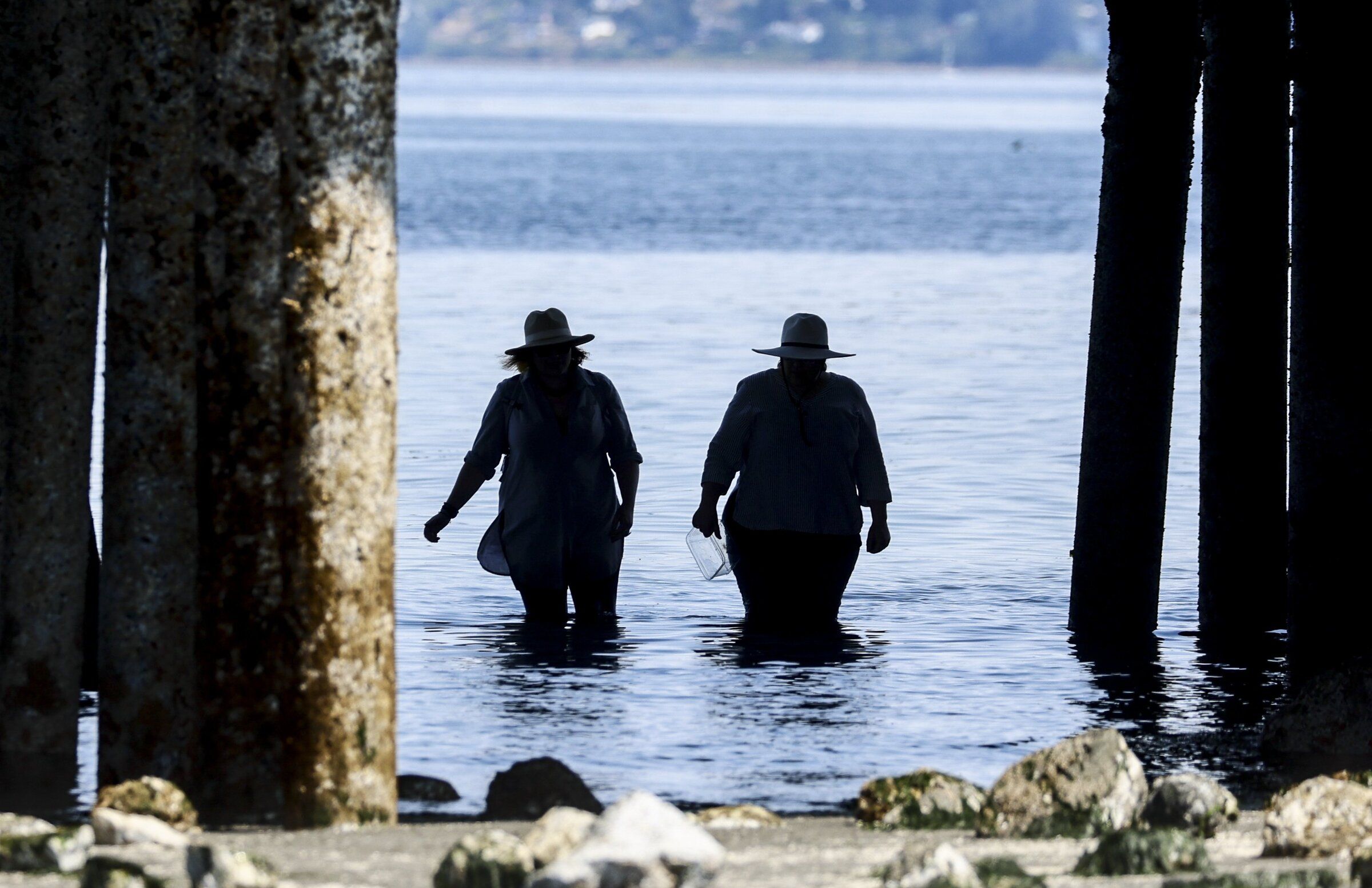 Beachcombers take advantage of the early low tide to cross under the Edmonds Ferry Terminal on Aug. 12. (Kevin Clark / The Seattle Times)