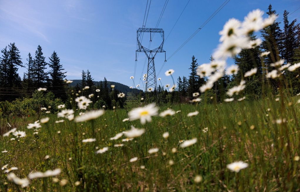 Controversial Snoqualmie battery project hits a snag