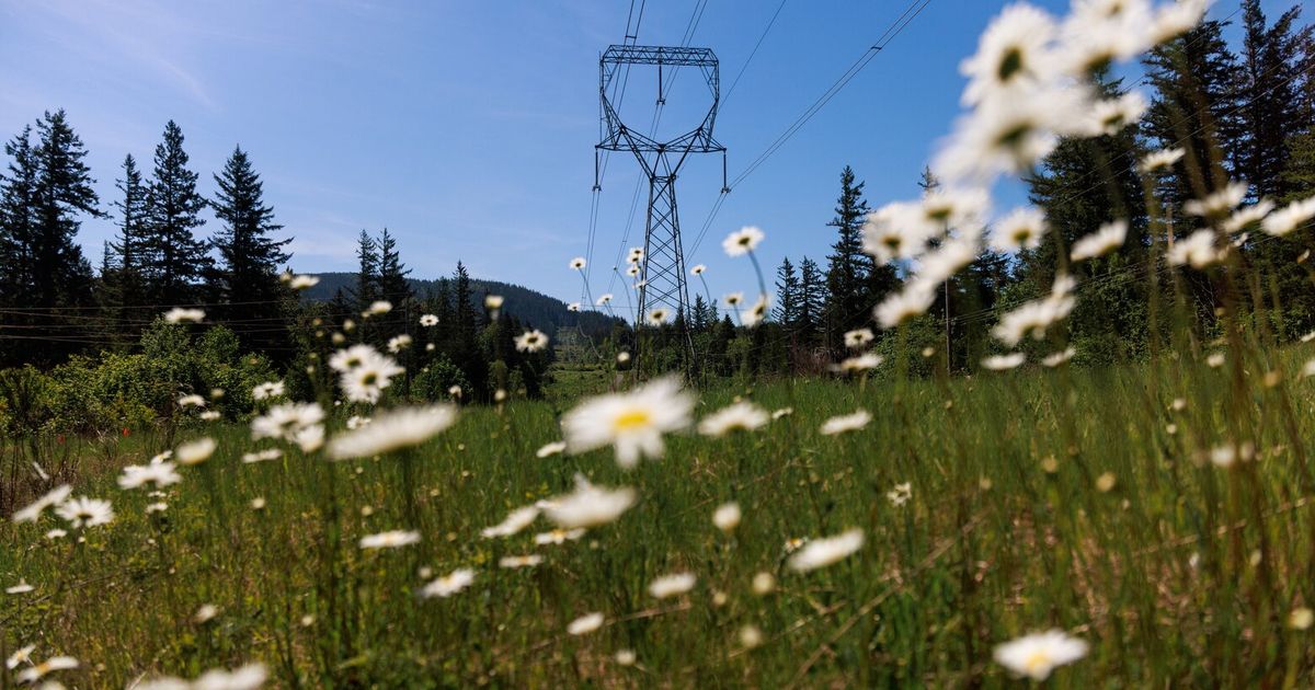 Controversial Snoqualmie battery project hits a snag