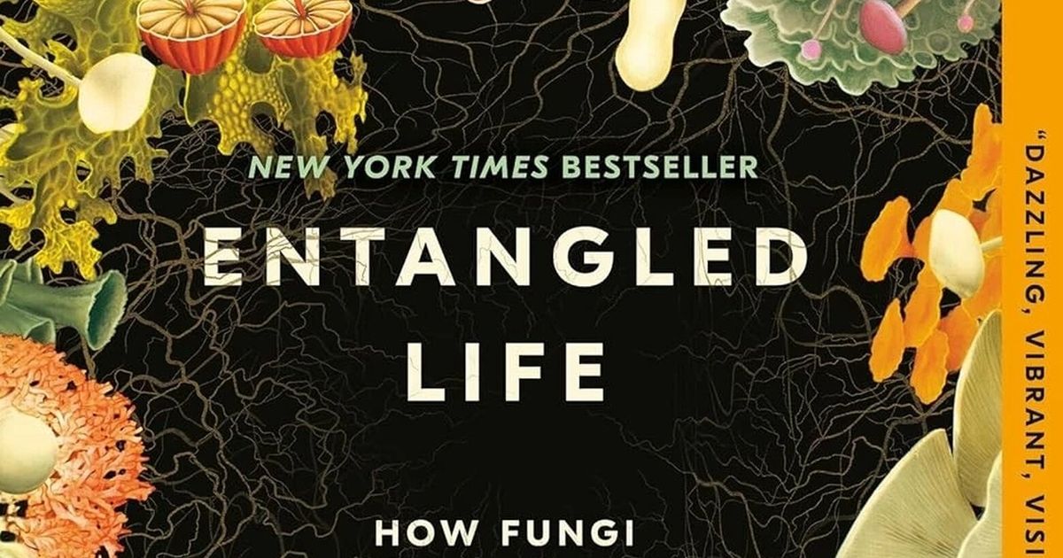 5 true stories to savor this summer