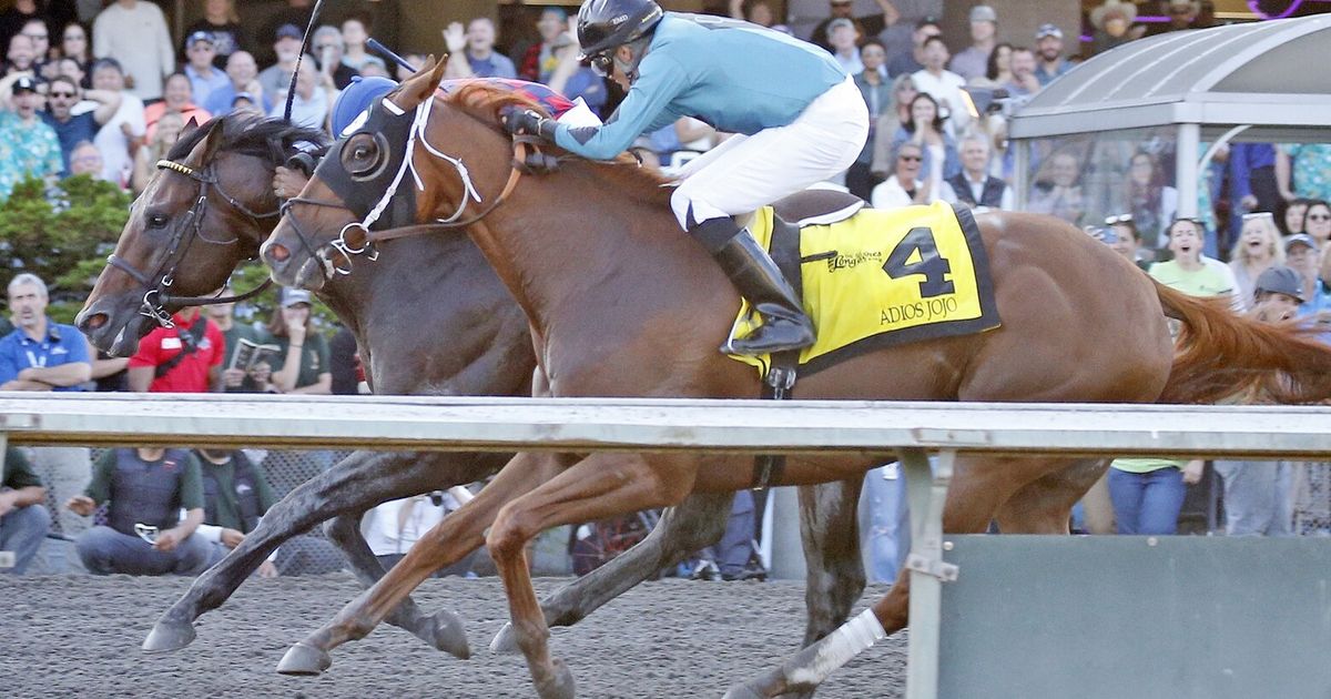 Adios Jojo wins Longacres Mile after favorite Touchy disqualified
