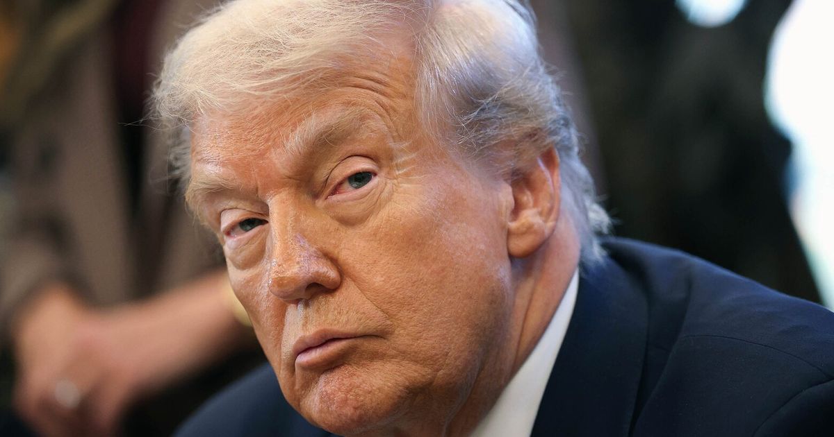 Trump fired the watchdogs. Their replacements have a different mission.