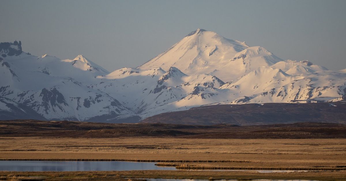 Court blocks road through Alaskan wildlife refuge