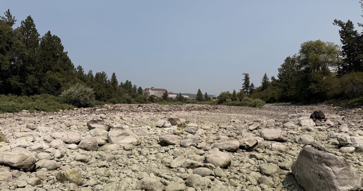 Now a river stopped flowing? NW nature seems to be squealing
