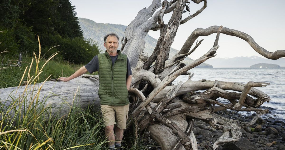 Searching for answers from the man accused of sabotaging Alaska’s Senate race