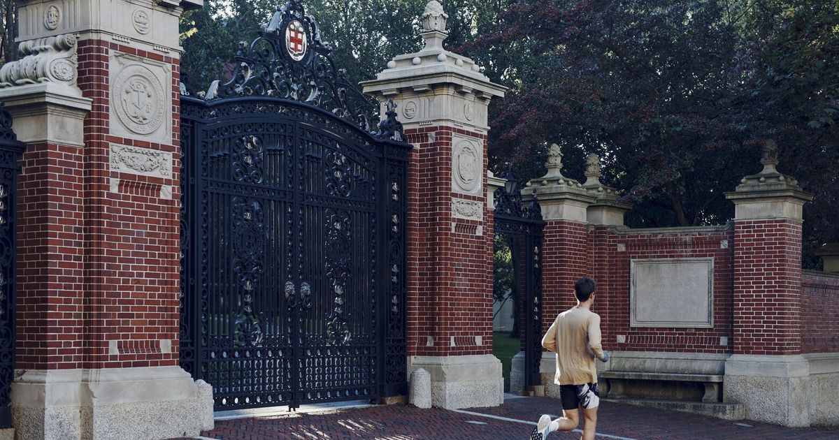 Trump officials ignored their own university investigators, lawyer says
