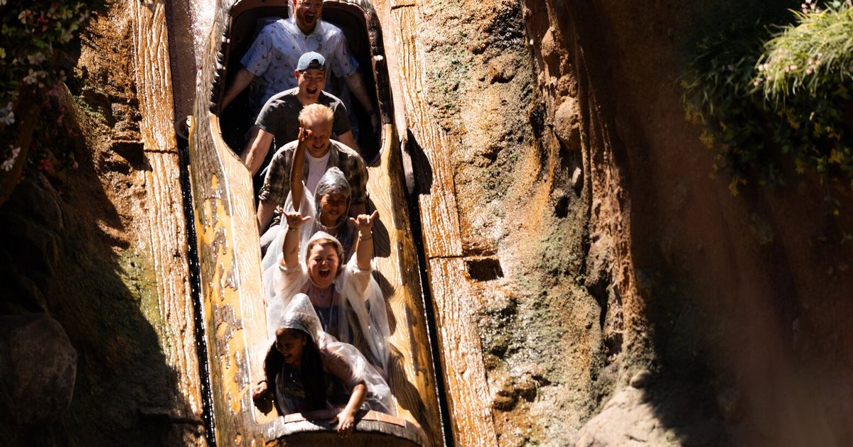 Disneyland warns not to stand up on its log-flume ride or risk getting booted from the park