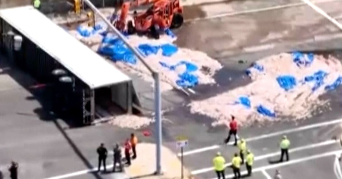 Truckload of squid spills into the street in Rhode Island, creating a smelly mess in the summer heat