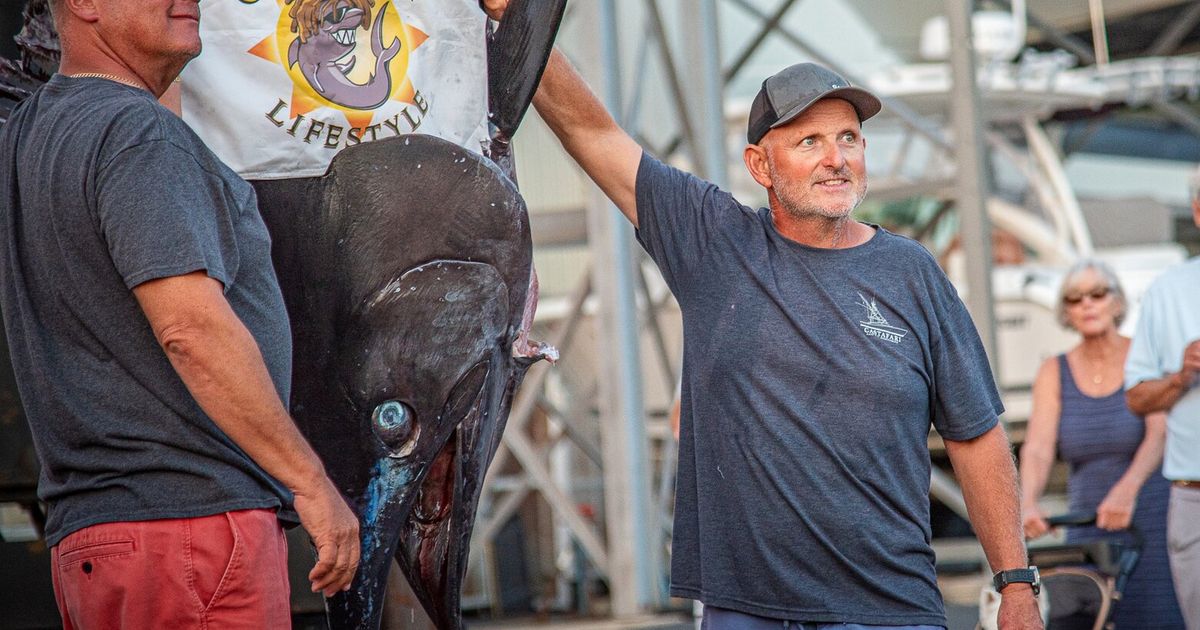 Charter boat hauls in 1,260-pound blue marlin believed to be East Coast’s largest catch