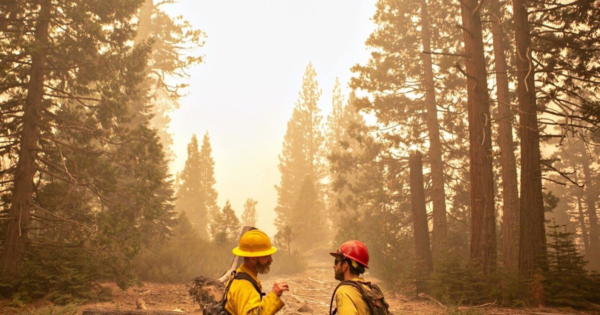 Keep Roadless Rule that protects U.S. forests from humans